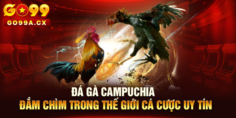 Đá Gà Campuchia Tại Go99 - Đắm Chìm Trong Thế Giới Cá Cược Uy Tín