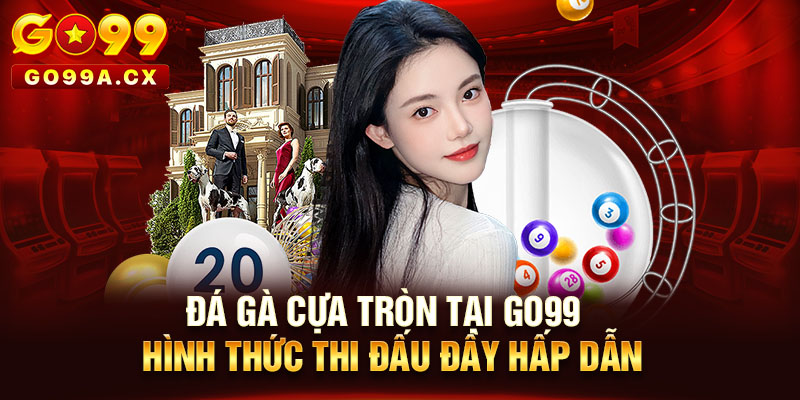 Đá Gà Cựa Tròn Tại Go99 – Hình Thức Thi Đấu Đầy Hấp Dẫn