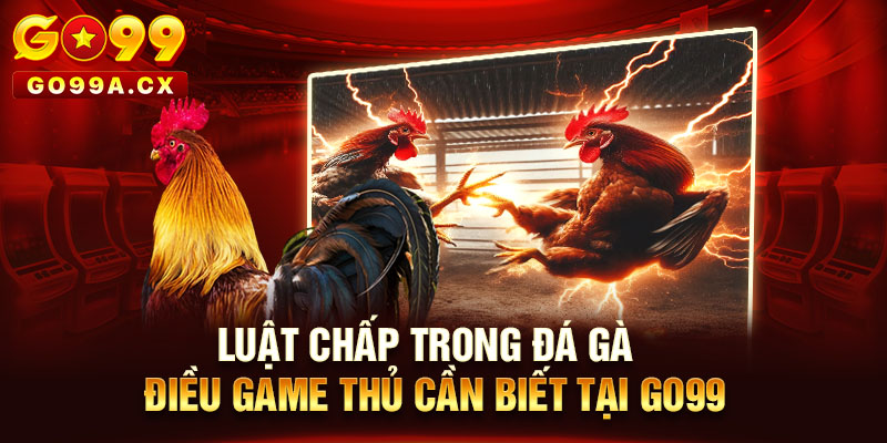 Luật Chấp Trong Đá Gà - Điều Game Thủ Cần Biết Tại Go99